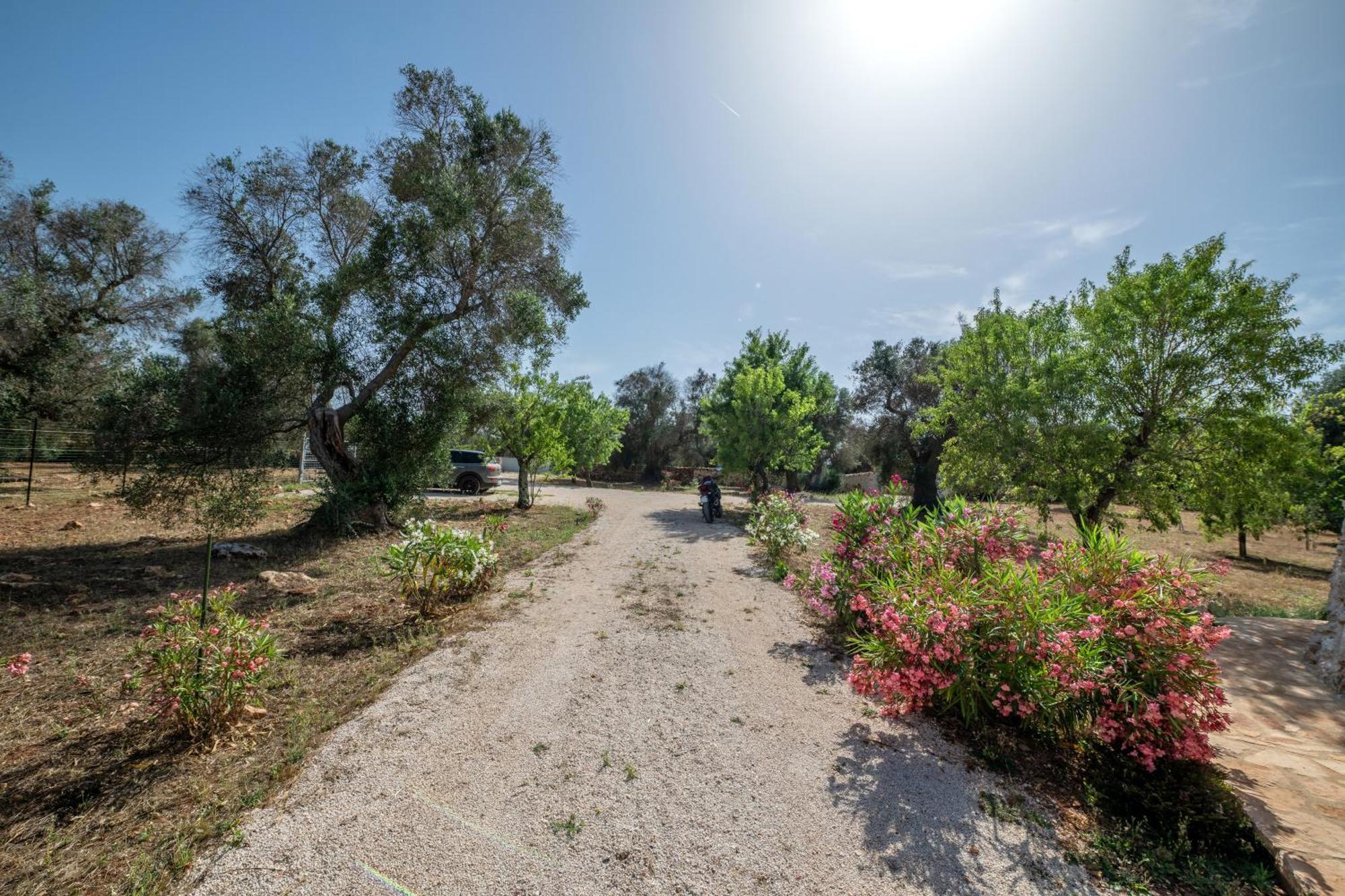 Villa Il Trullo Di Mariangela Ceglie Messapica Exterior foto