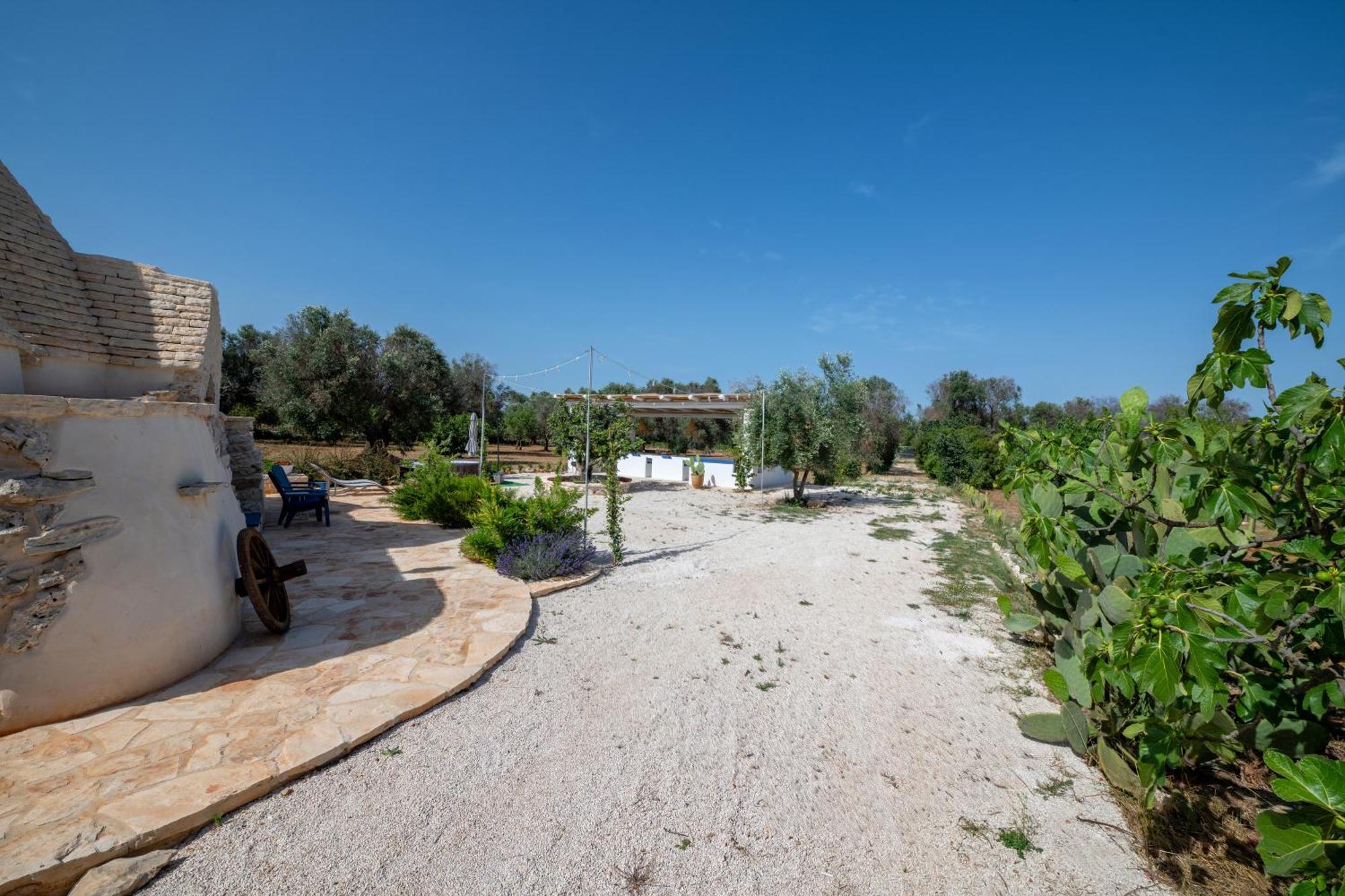 Villa Il Trullo Di Mariangela Ceglie Messapica Exterior foto